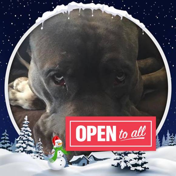 Meet your Posher, Jean - Picture 1 of 1